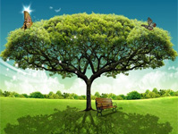 �U�媒在新媒体时代如何生存