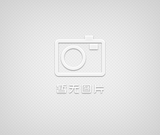 testo205入門級套裝-pH酸堿度/溫度測量儀用于半固體測量